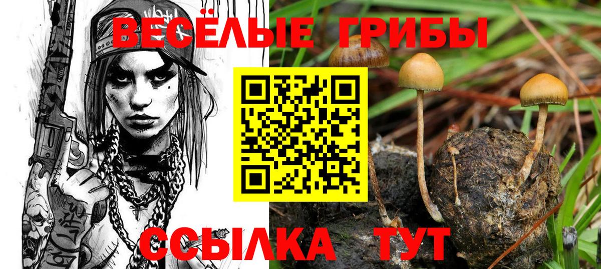 Галлюциногенные грибы GOLDEN TEACHER  Вход с VPN  Ирбит 