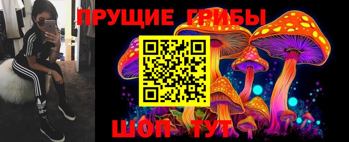 Псилоцибиновые грибы Cubensis Ирбит
